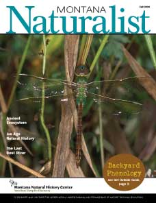 Montana Naturalist