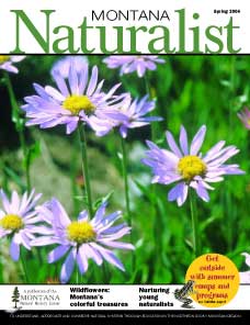 Montana Naturalist