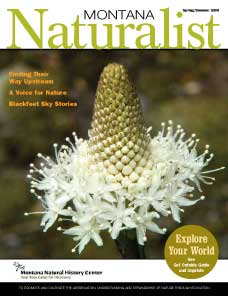 Montana Naturalist