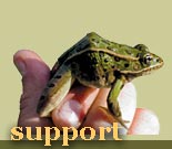 Support the Center
