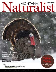 Montana Naturalist