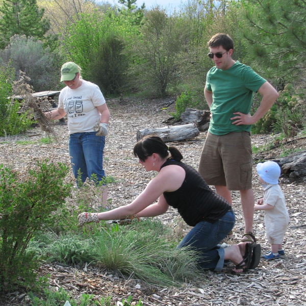 volunteering at the community garden