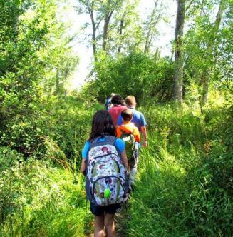Summer camp kids walk through a lush riparian habitat on a field trip.