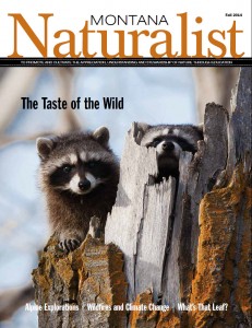 Montana Naturalist Fall 2014