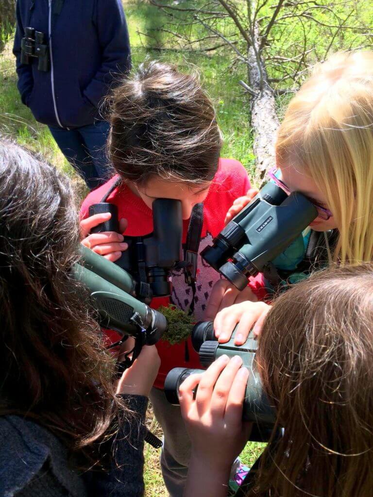 4th graders get a close up view of wolf lichen - photo by DL