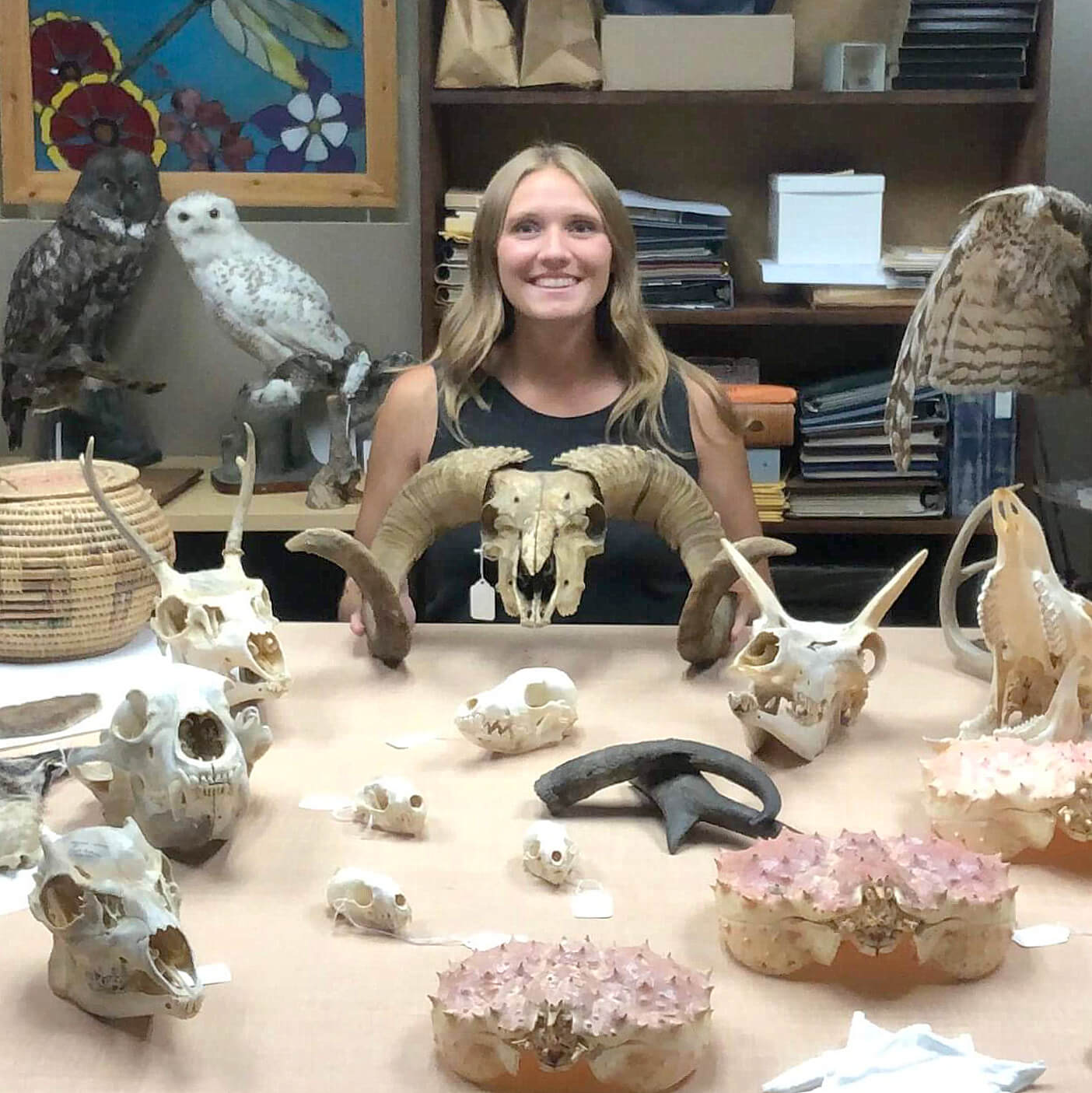 A photo of MNHC's Collections Manager surrounded by specimens from our museum.