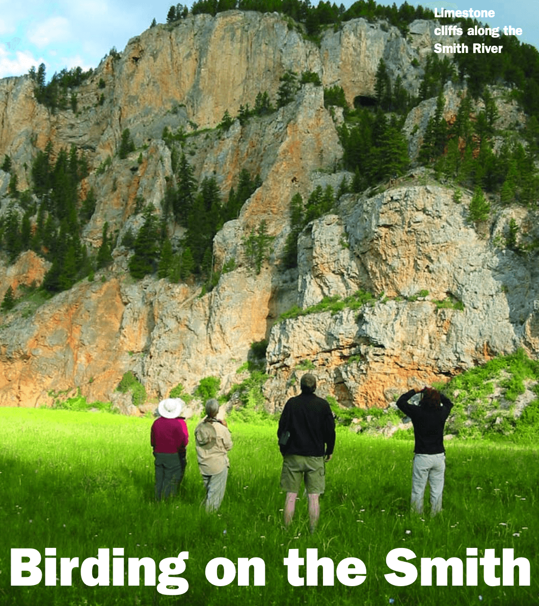 four travelers standing in a grassy meadow looking up at tall limestone cliffs along the Smith River