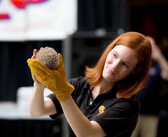 Animal Wonders with hedgehog
