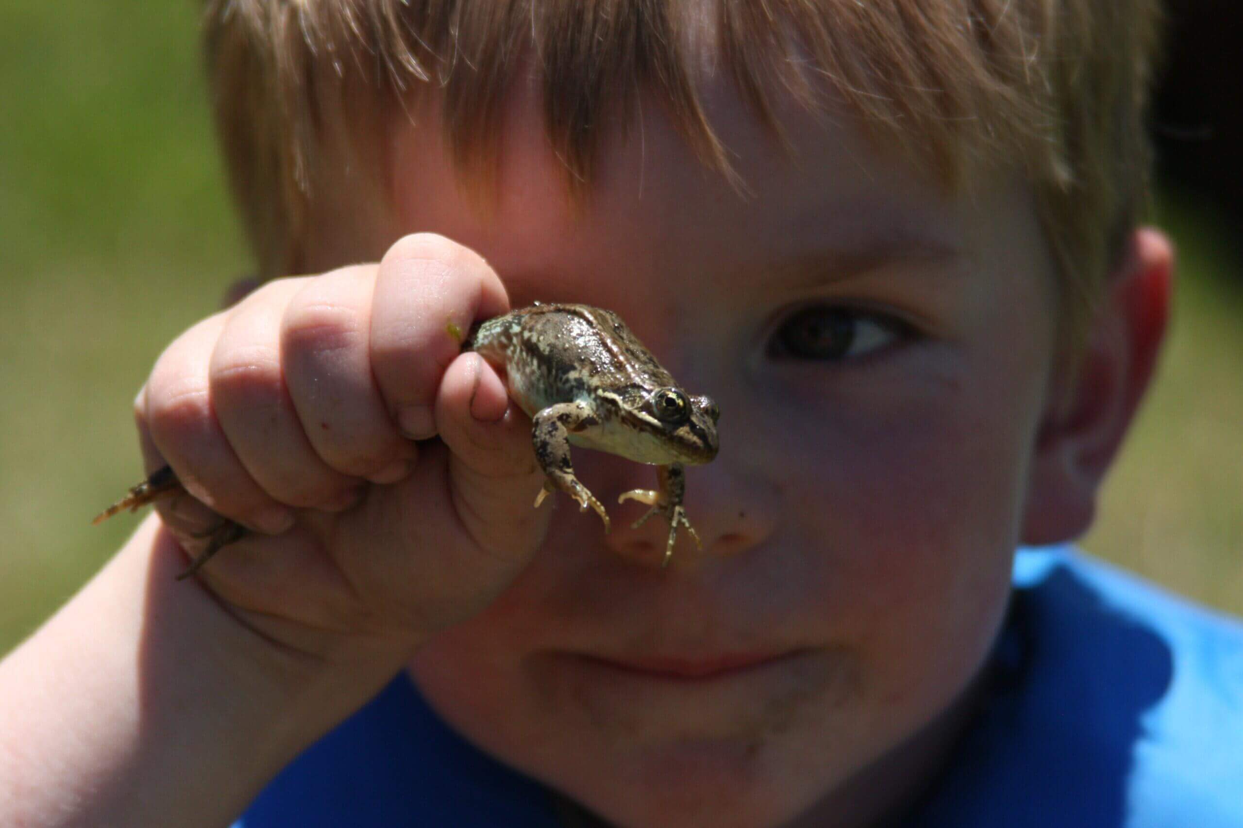 A photo of a boy holding a frog.