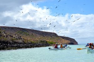 Baja trip with Sea & Adventures Inc!