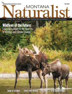 Montana Naturalist magazine Fall 2018 issue cover