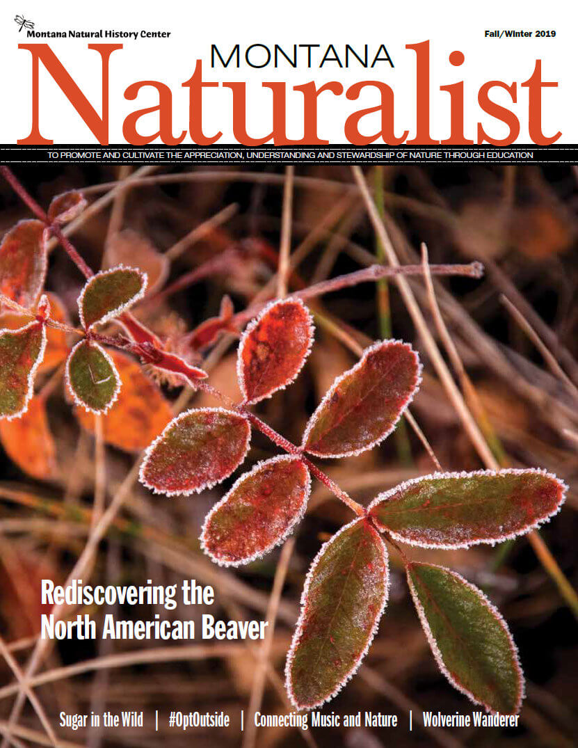 Montana Naturalist magazine Fall-Winter 2019 issue cover