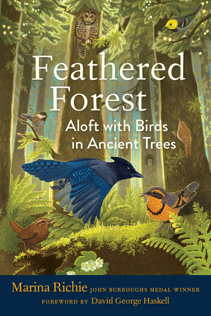 Book Review: Feathered Forest