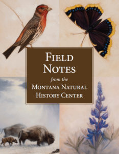 Field Notes from the Montana Natural History Center book cover