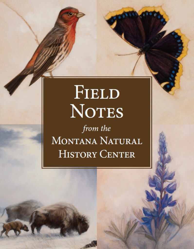 Field Notes Book Cover