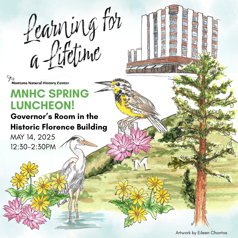 MNHC Spring Luncheon art 2025