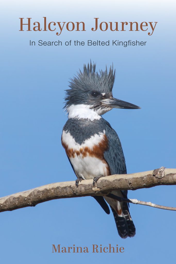 Book Review: Halcyon Journey: In Search of the Belted Kingfisher
