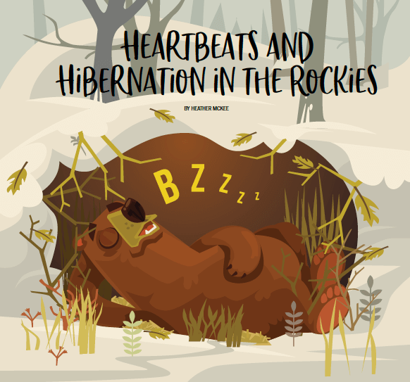 Heartbeats and Hibernation in the Rockies