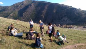 Master Naturalists learning about plants on Mount Jumbo