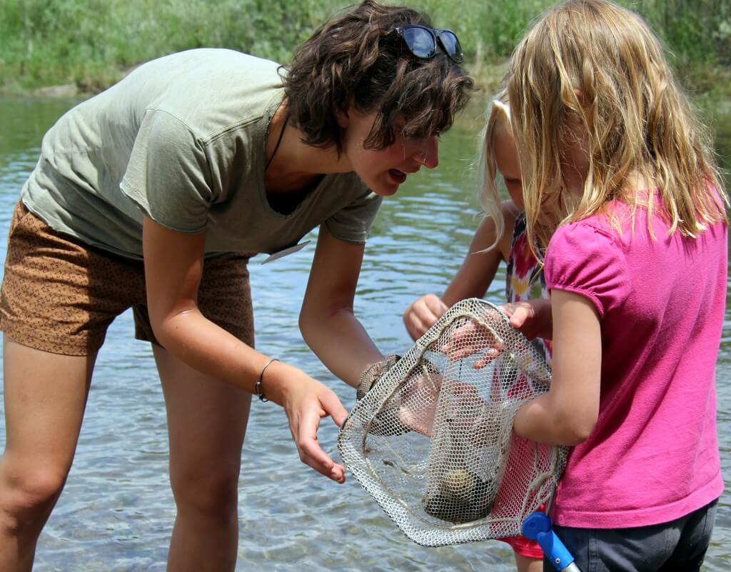 summer camp instructor helping kids catch aquatic insects