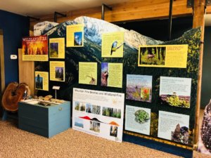 Wildland Fire Ecology exhibit at the Montana Natural History Center