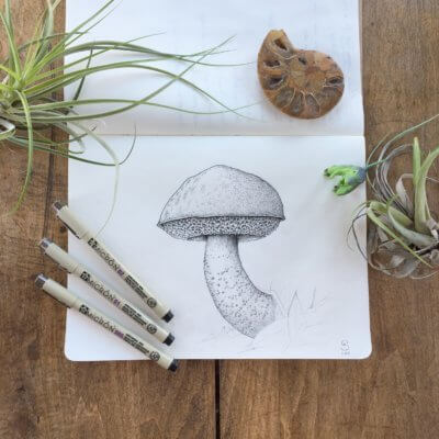 pen and ink drawing of a mushroom