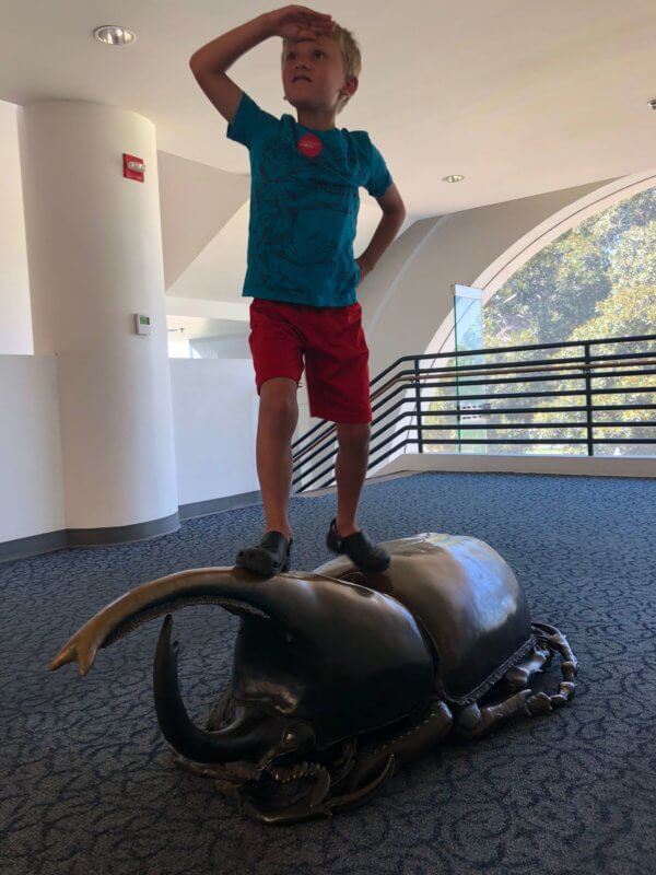 a young boy standing on a statue of a rhinoceros beetle at a science museum