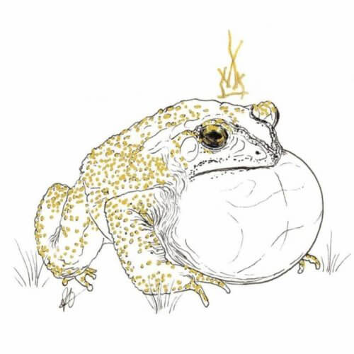 drawing of a frog with a crown on its head by artist Jessie Smith