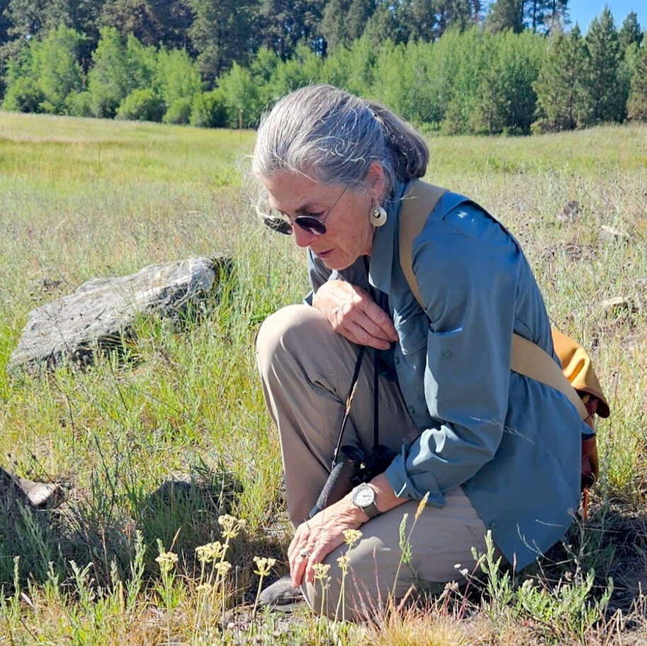 Kathy Settevendemie (she/her)