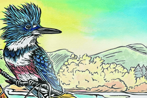 A photo of the MNHC license plate on the back of a red car. The license number is "H00000."