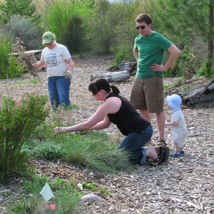 gardening at the native plant garden