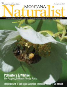 Spring-Summer 2018 Montana Naturalist magazine cover