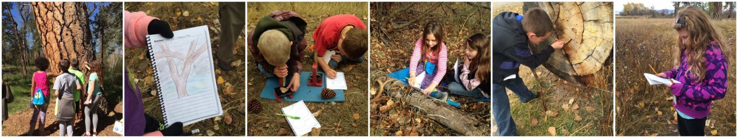 collage of visiting naturalist in the schools field trip photos - kids outside looking at trees, writing in journals, drawing pictures of trees, looking through microscopes
