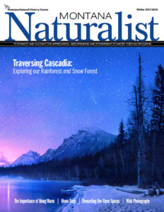 Montana Naturalist winter 2017-2018 cover shot: glacier national park at night