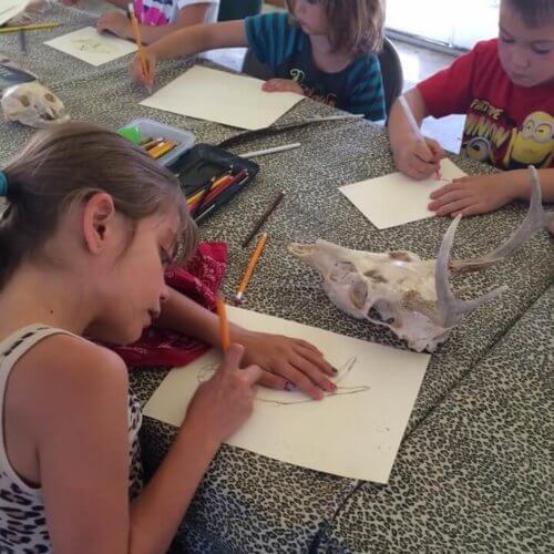 summer camp kids drawing skulls during their Nature Art camp
