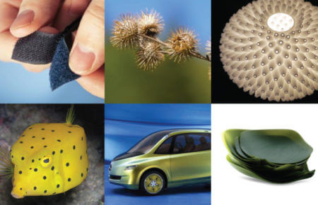 examples of biomimcry: velcro/bur, light fixture/spotted fish, solar car/leaves