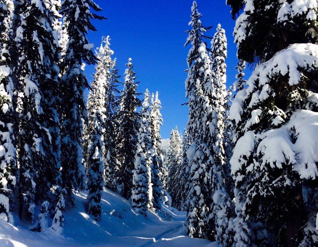 Snow, Sky, and the Color Blue