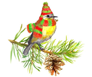 Bird on pine branch wearing green and red stocking cap and scarf