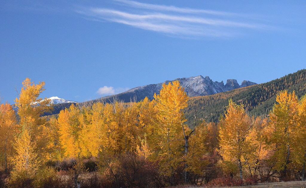 fall foliage in the Bitterroot Mountains, western Montana