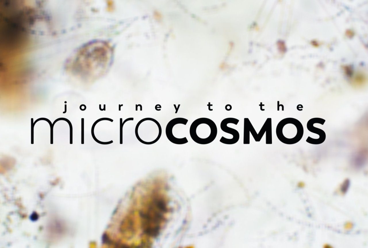 Free Online Educational Resources | Montana Natural History Center