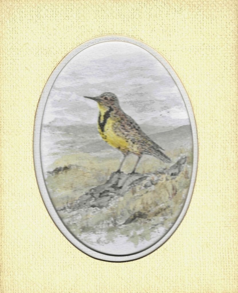 Song of the Meadowlark