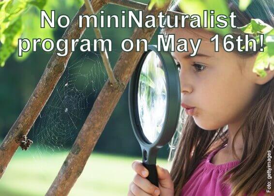 No miniNaturalist program on May 16th