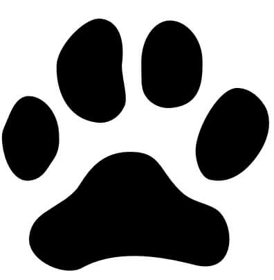 clip art of a mountain lion track