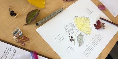 nature journaling page with a sketch of a yellow leaf