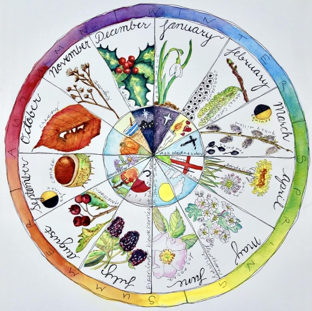 Make Your Own Phenology Wheel!