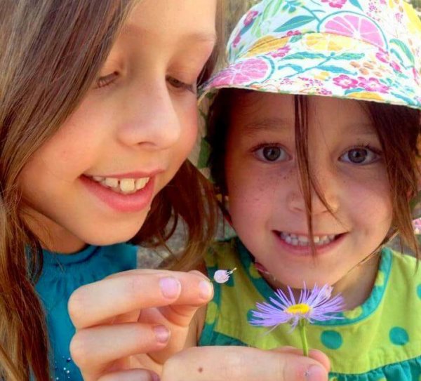 preschoolers looking at flowers up close during summer camp