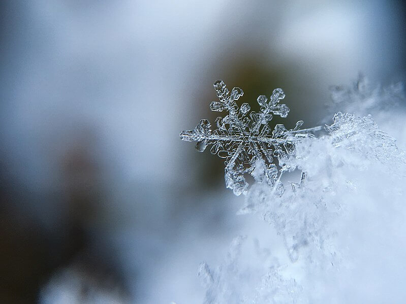 a closeup view of a lone snowflake, in exquisite detail, against a blurred wintry background