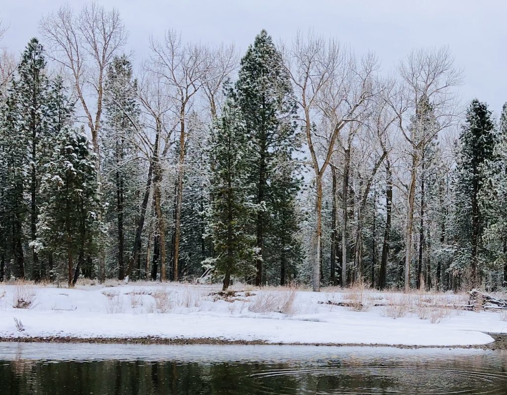 The Giving Winter