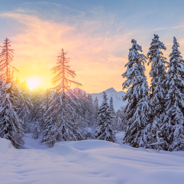 Winter writing workshop