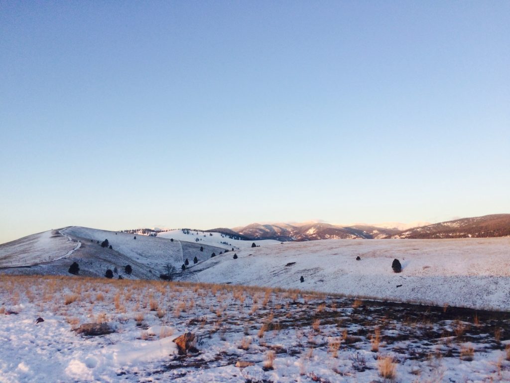 A (Winter) Solstice Vignette